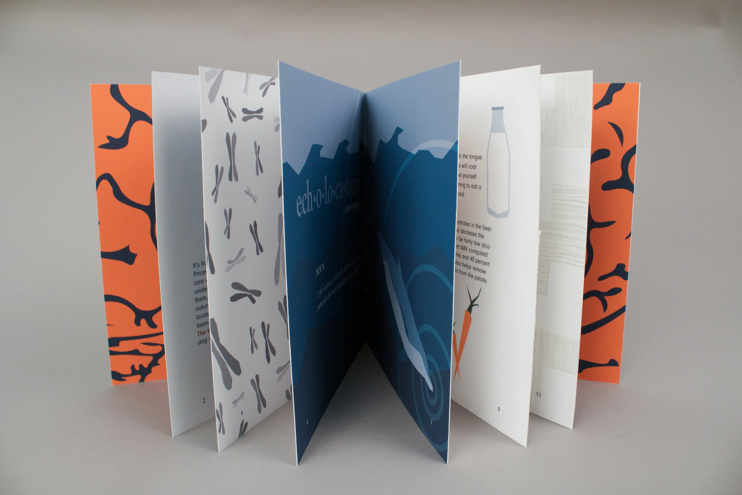 The Touch page offers a unique perspective with a textured paper overlapping and obscuring the word. 