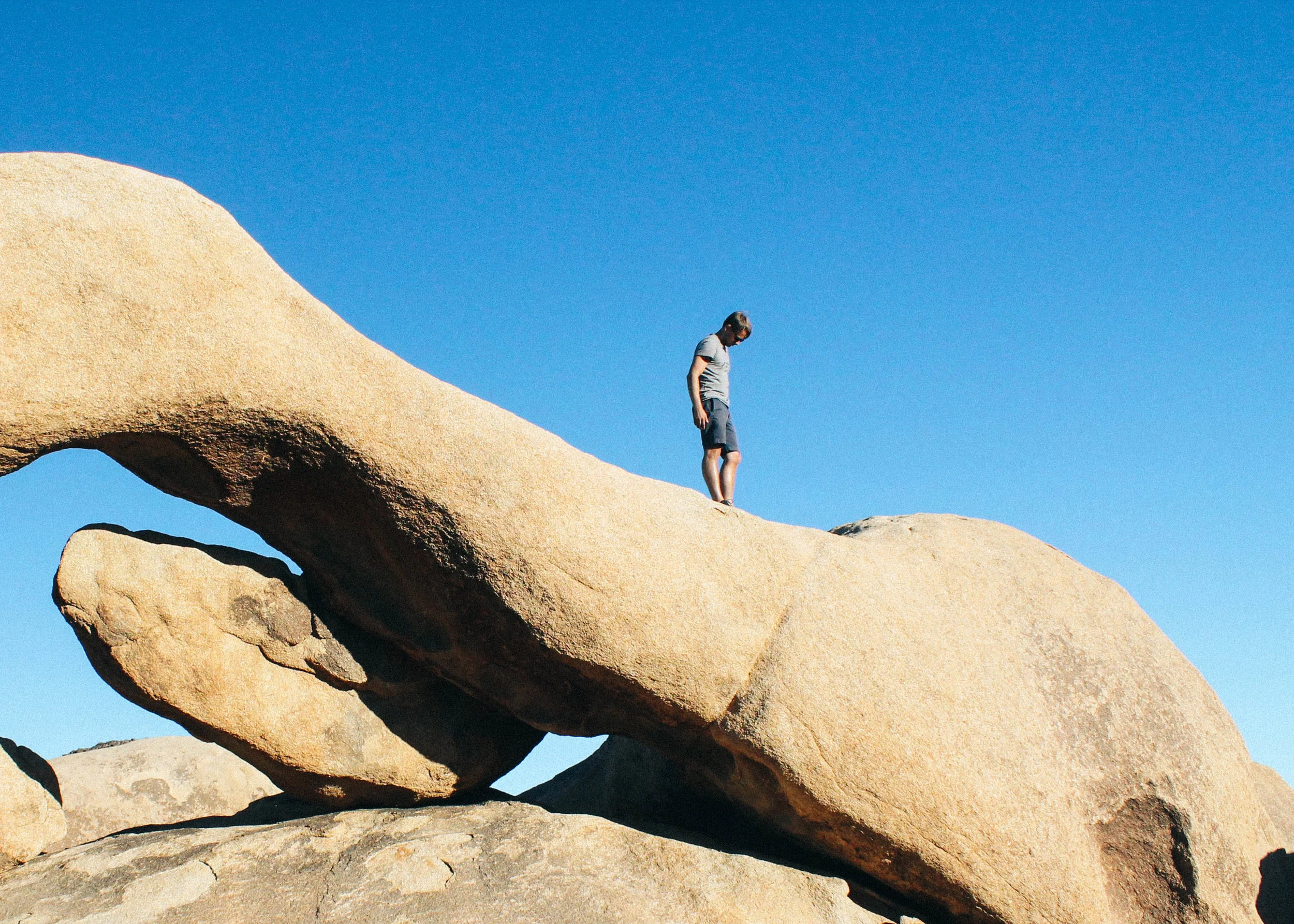 Famously intriguing rock gardens abound in Joshua Tree National Park