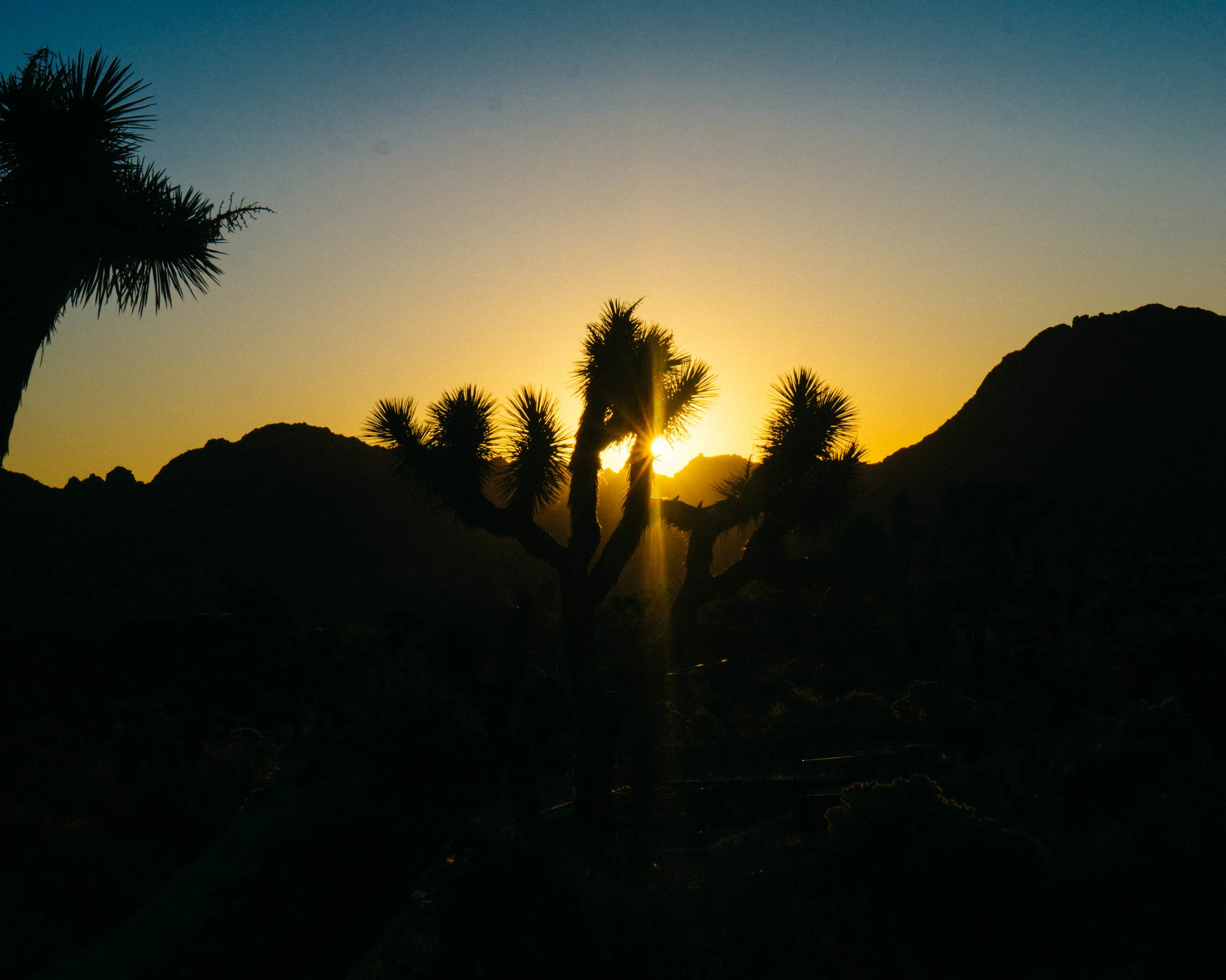Springtime sunrise over Joshua Tree (5:57 AM!)