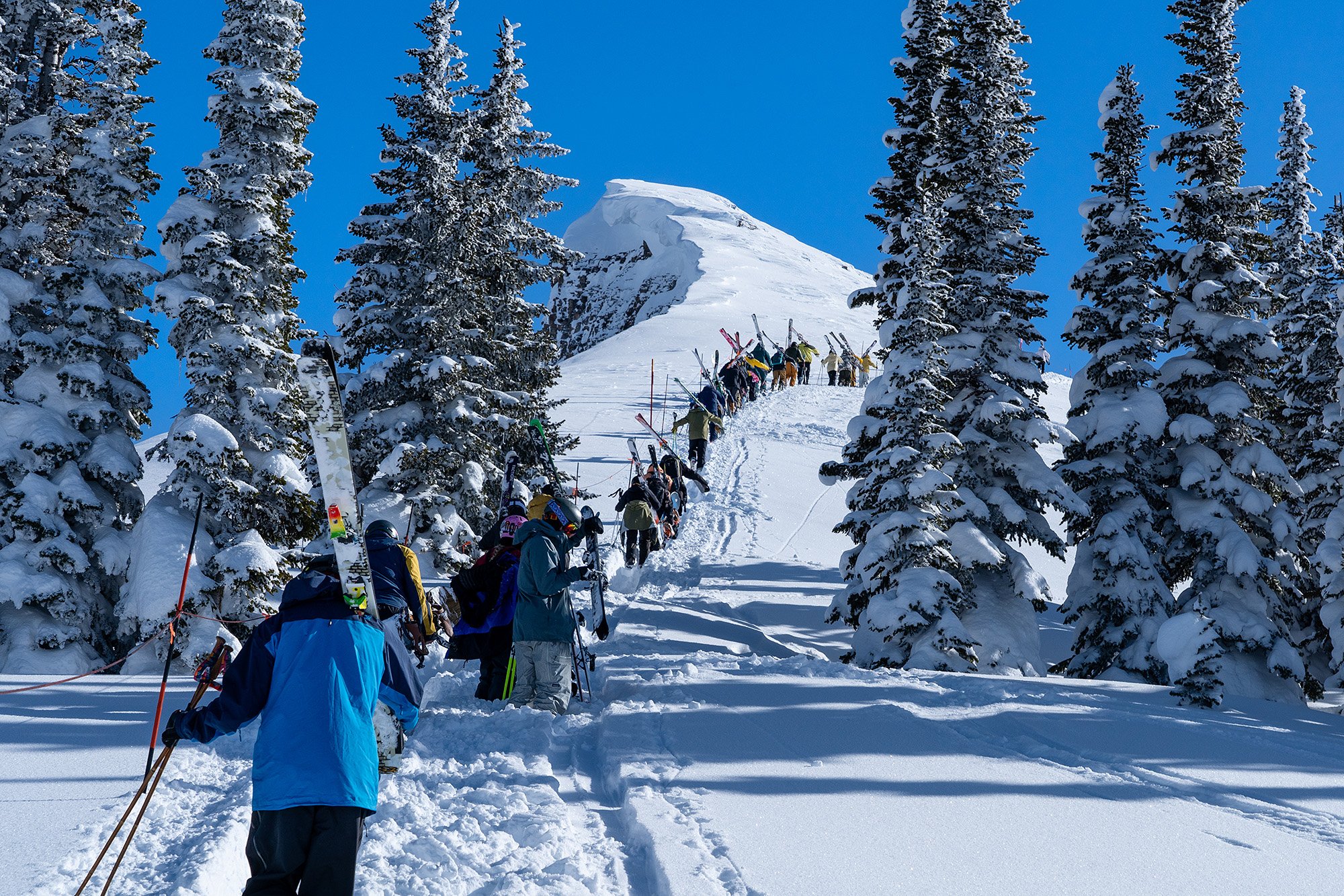 Targhee_JNelson.jpg