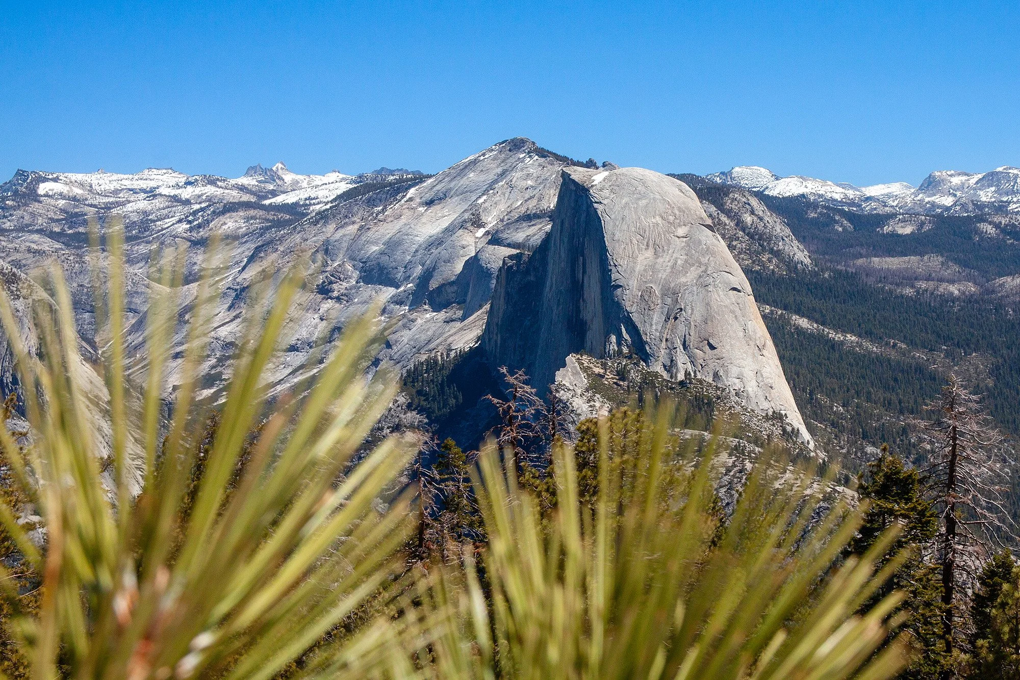HalfDome_JNelson.jpg