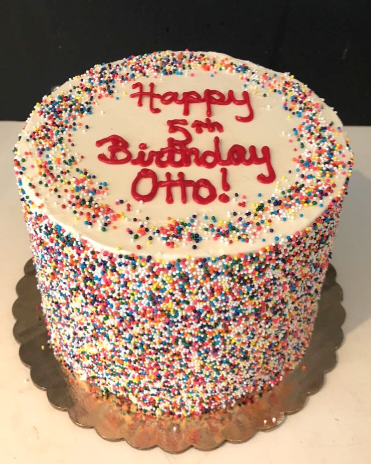 Sprinkle+Cake.jpg