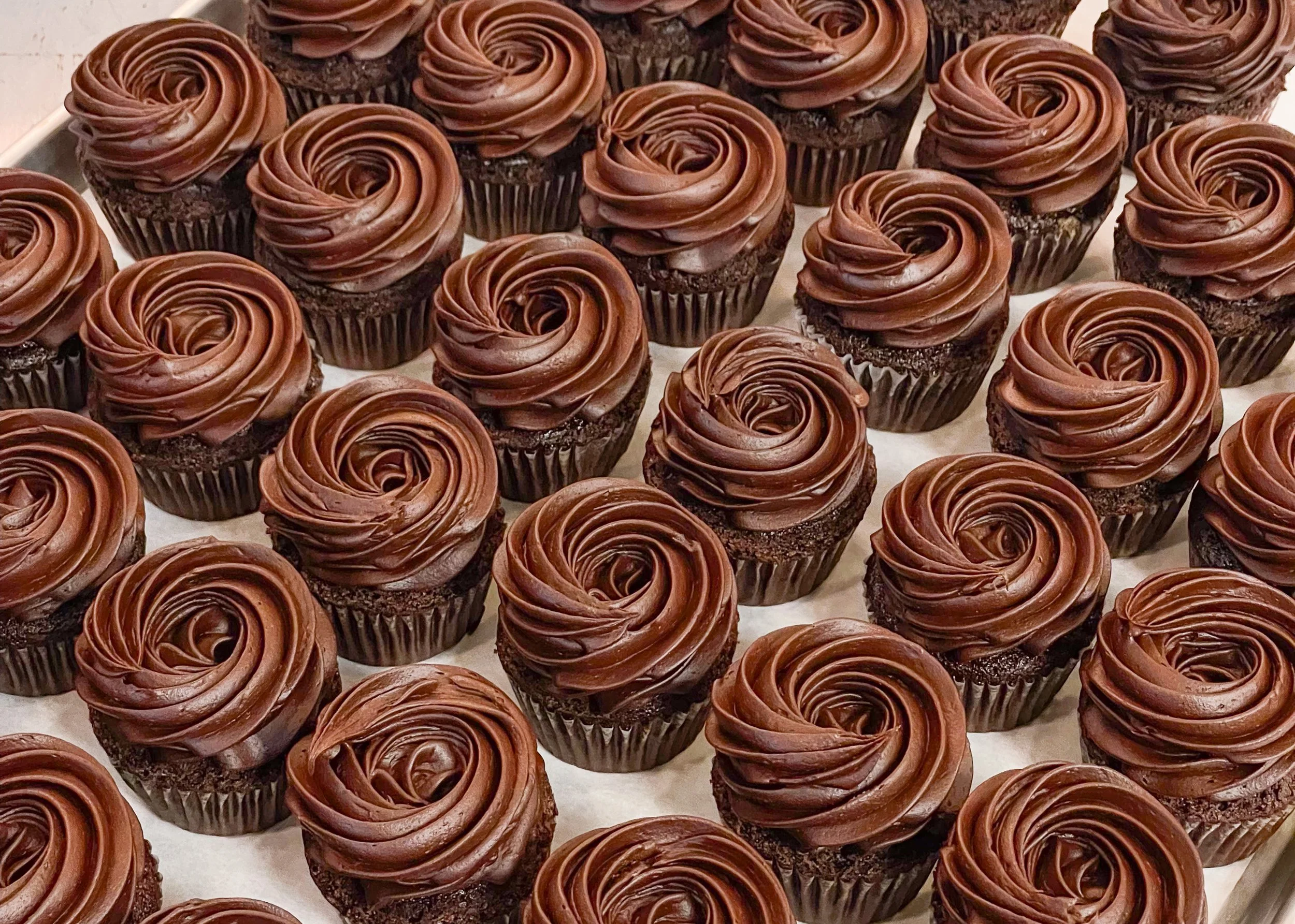 AMIE-Bakery-Cape-Cod-Chocolate-Cupcakes.jpg