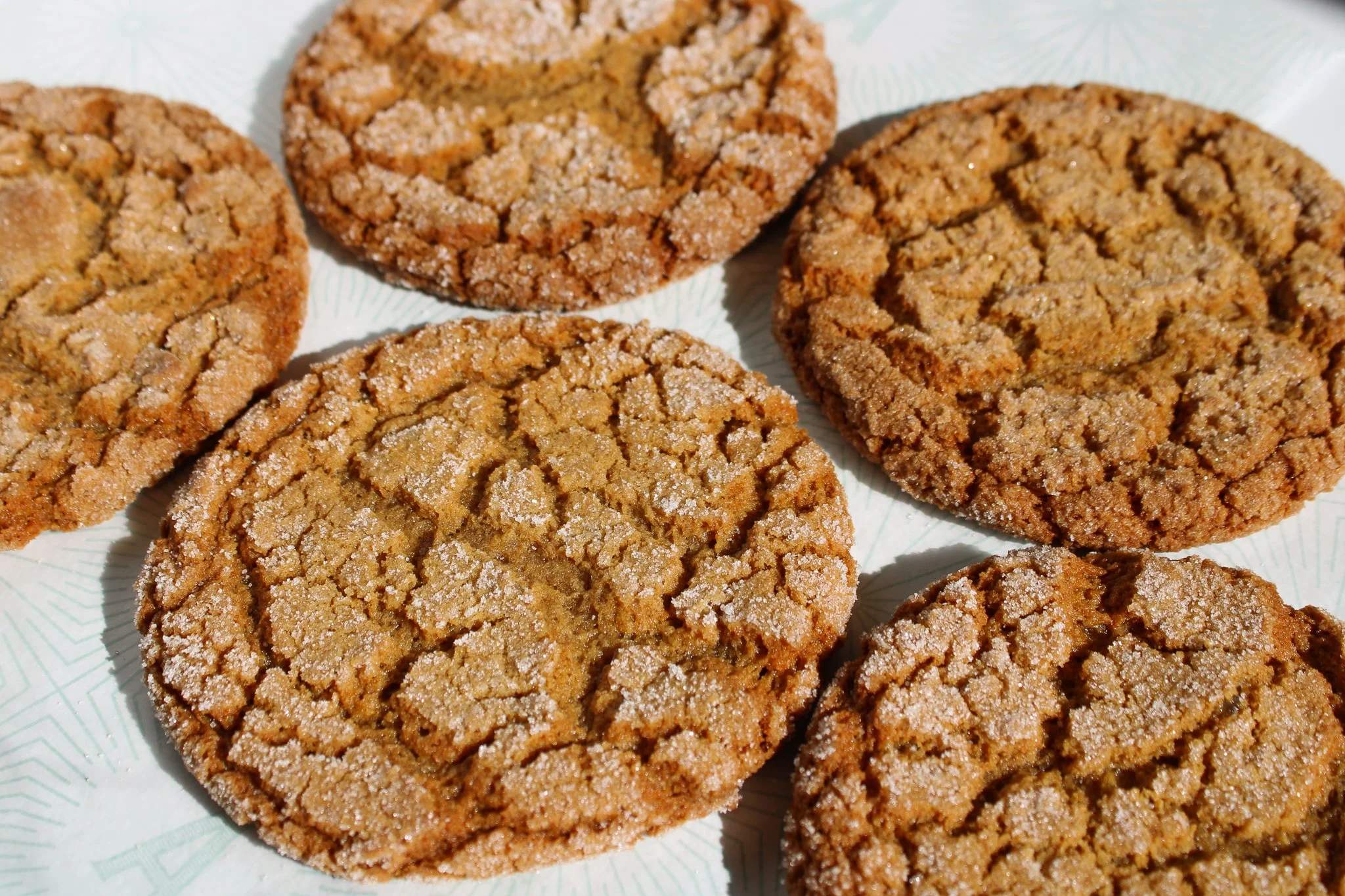 AMIE-Bakery-Double-Ginger-Cookies.jpg