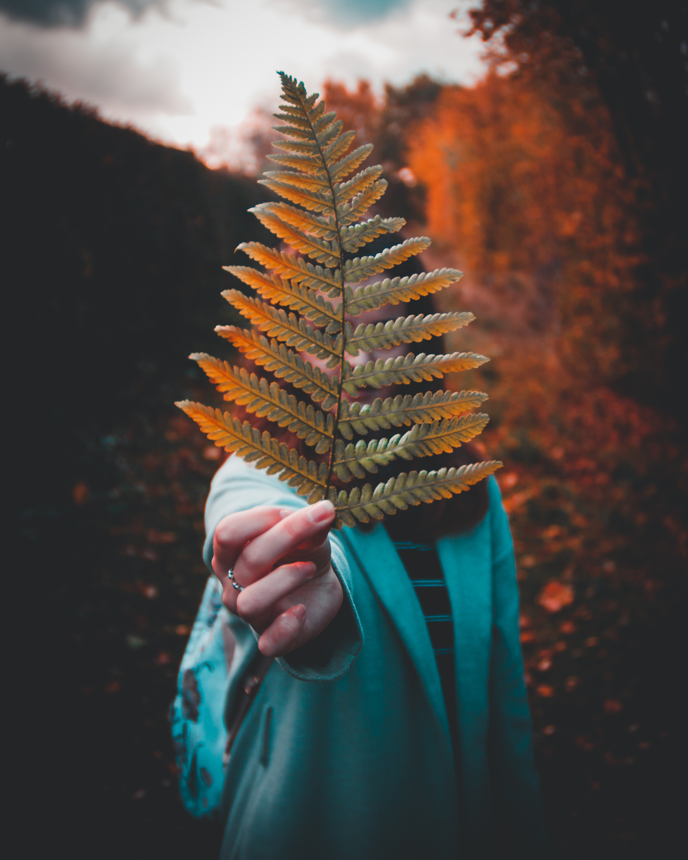 Canva - Photography of a Woman Holding Fern.jpg