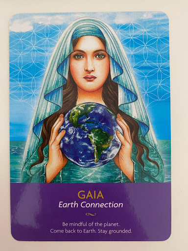 April’s Oracle Reading — City Girl Network