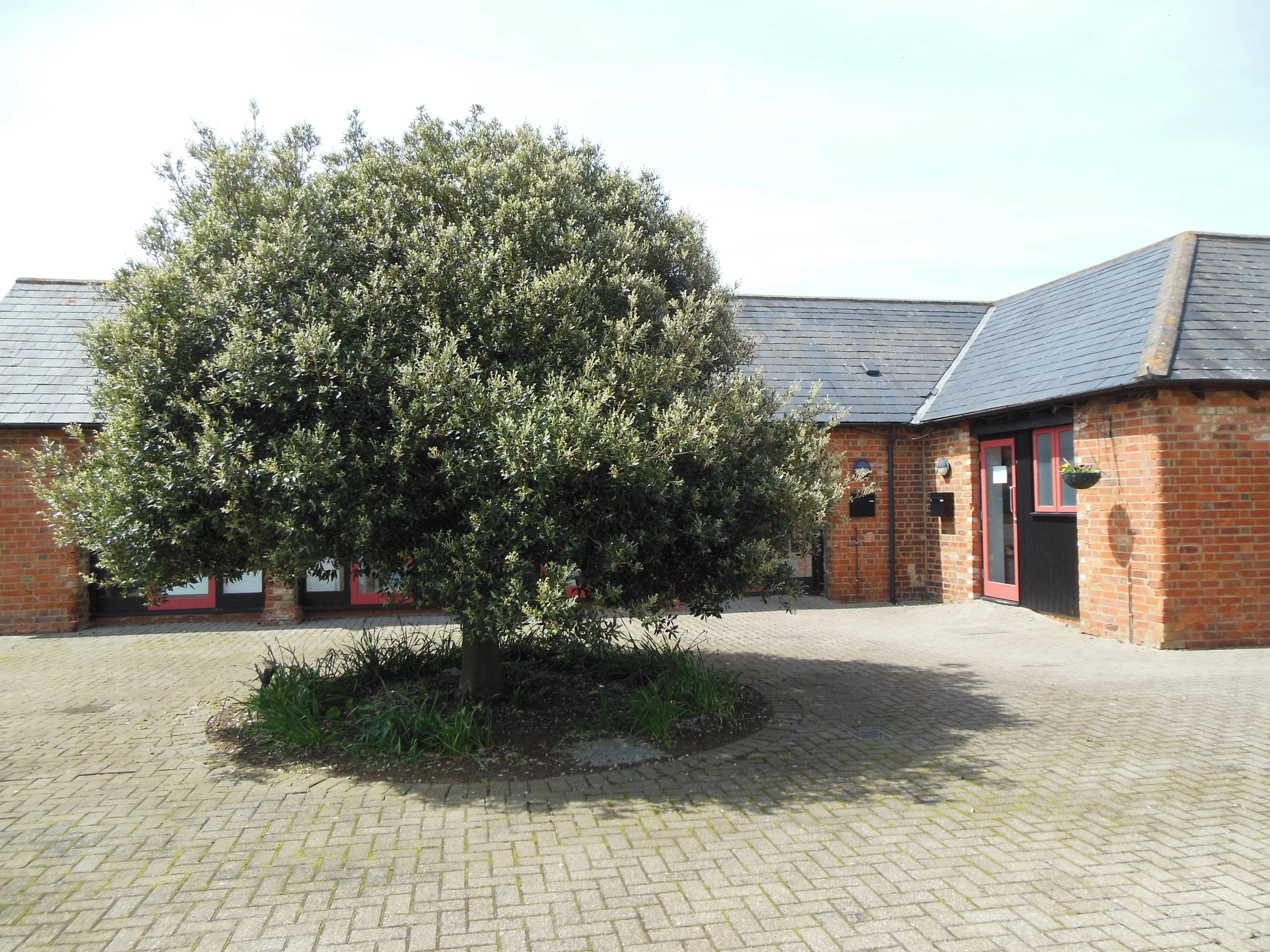 Office Courtyard.jpg