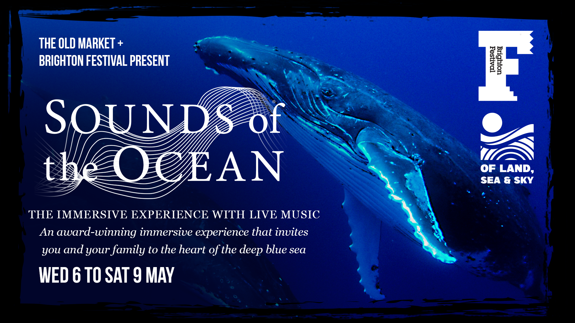 The Old Market Hove Review: Sounds of The Ocean