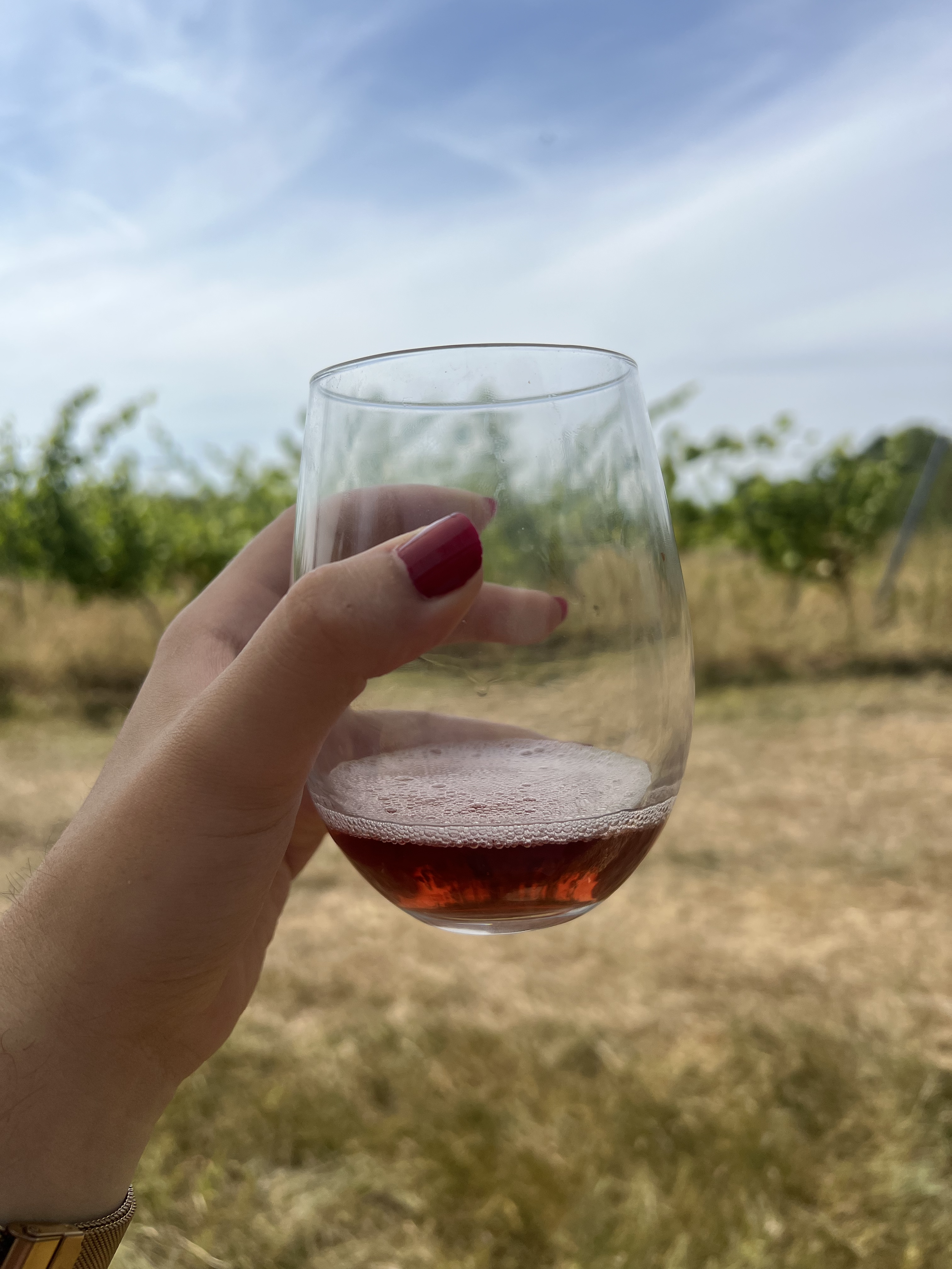 Dunleavy Vineyards: Wine Tasting Near Bristol