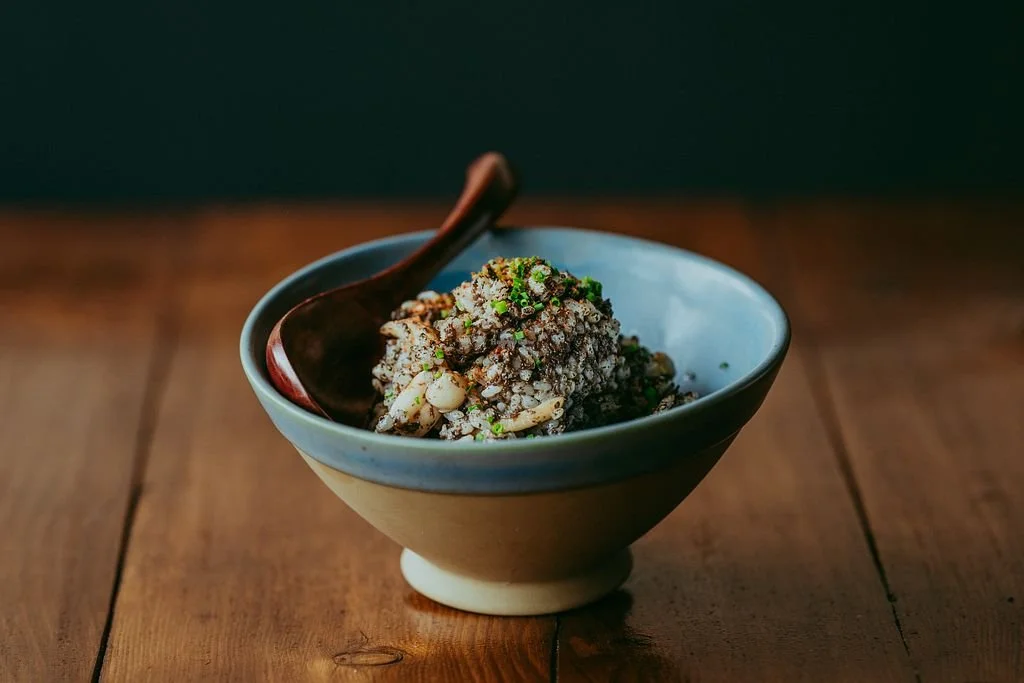 Exploring Brighton's Best PlantBased Restaurants — City Girl Network