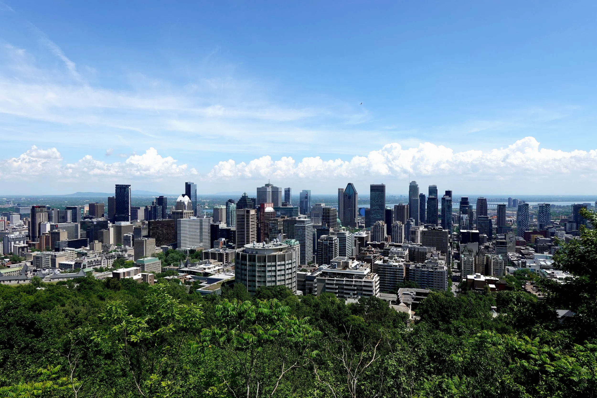 What You Need to Know When Flying to Canada from the UK