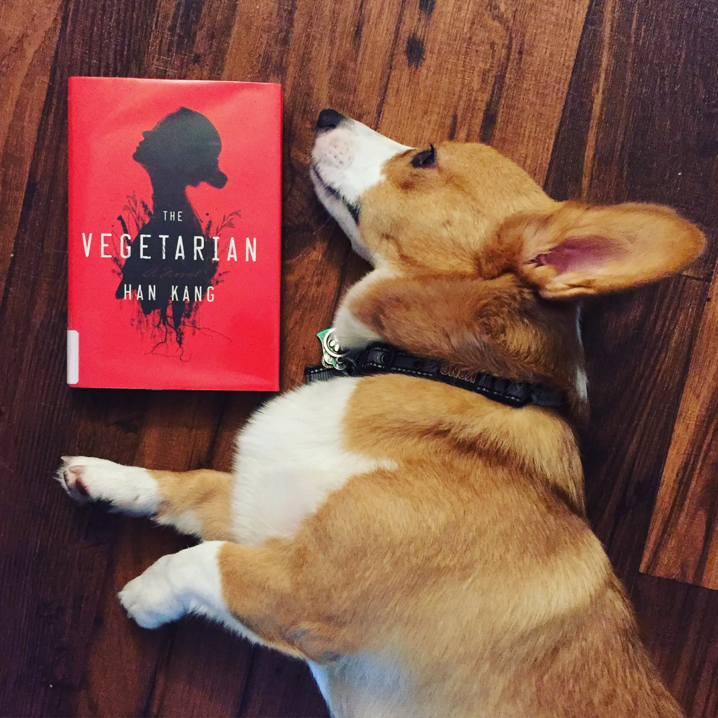 Dylan shows off his cover imitation skills.