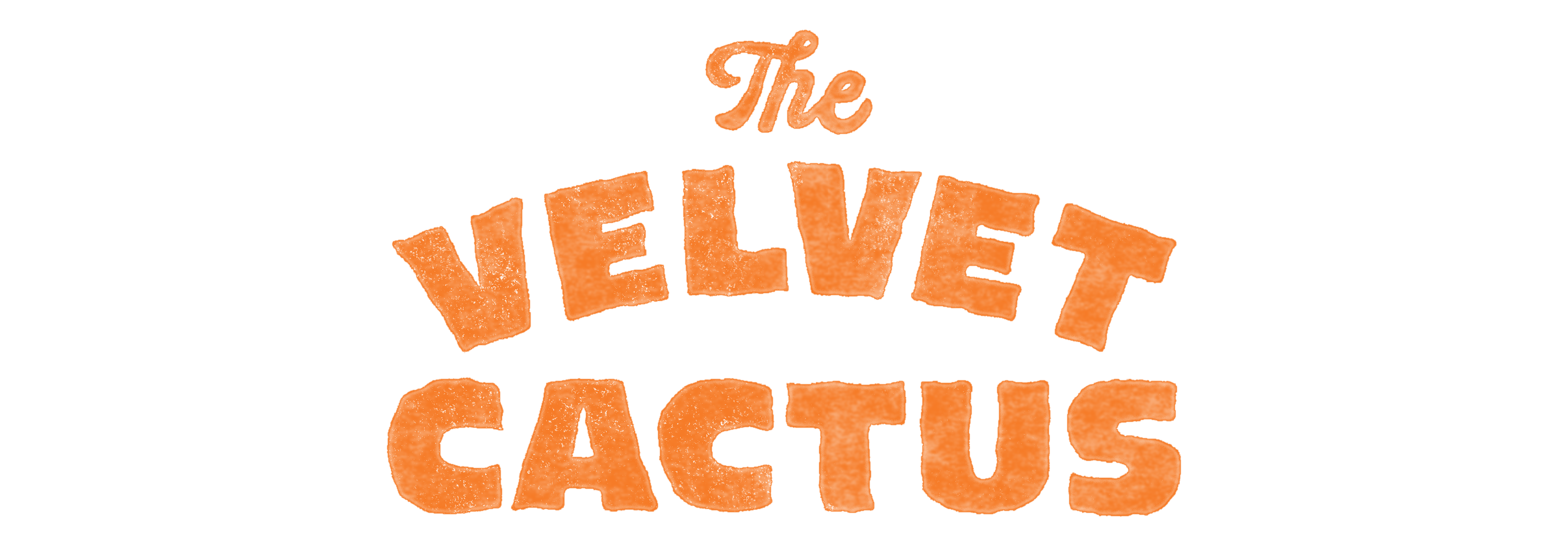 THE VELVET CACTUS TYPE copy 2.png
