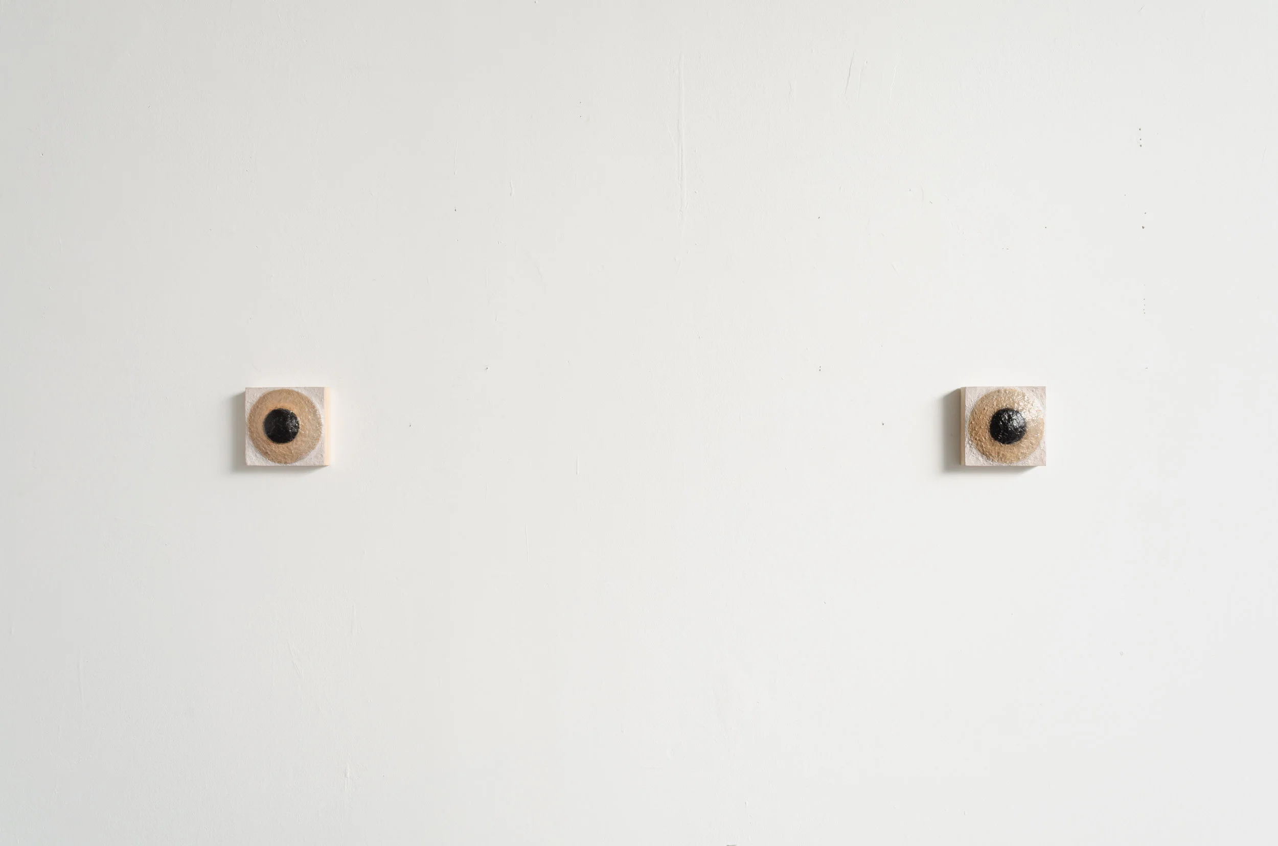 "WALLEYED" (honey) 2019 - Concrete | Wood