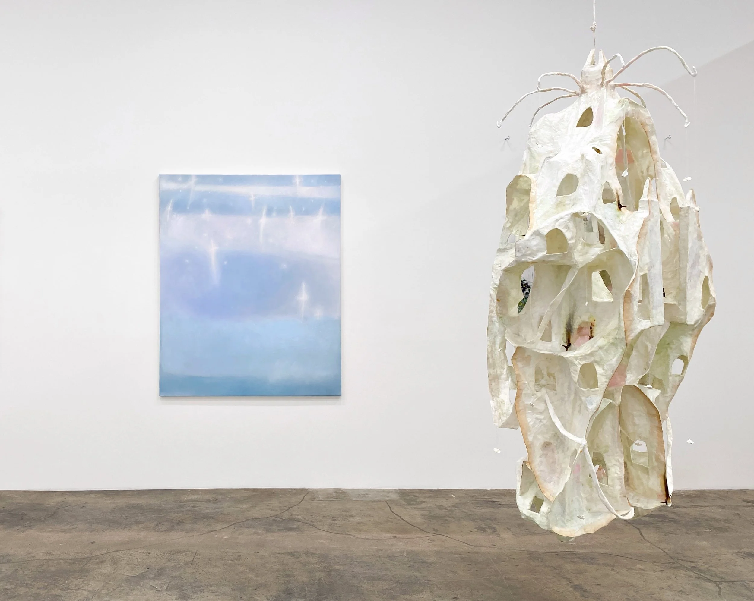 "Aurora Borealis"  |  Abigail Ogilvy  |  Los Angeles