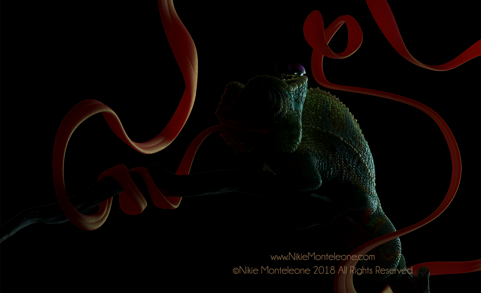 nikie-monteleone-light-process.gif