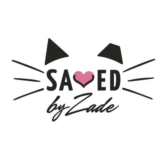 Saved by Zade Fundraiser - Noon until 3 p. m. - Cans and Bottle Drive