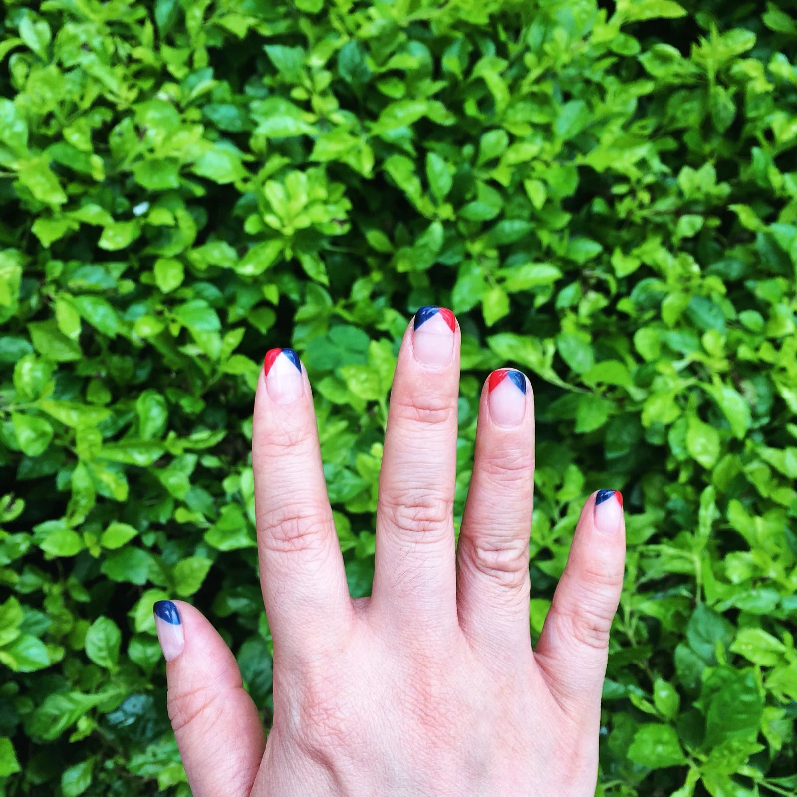 Red and blue triangle tips by Tracy