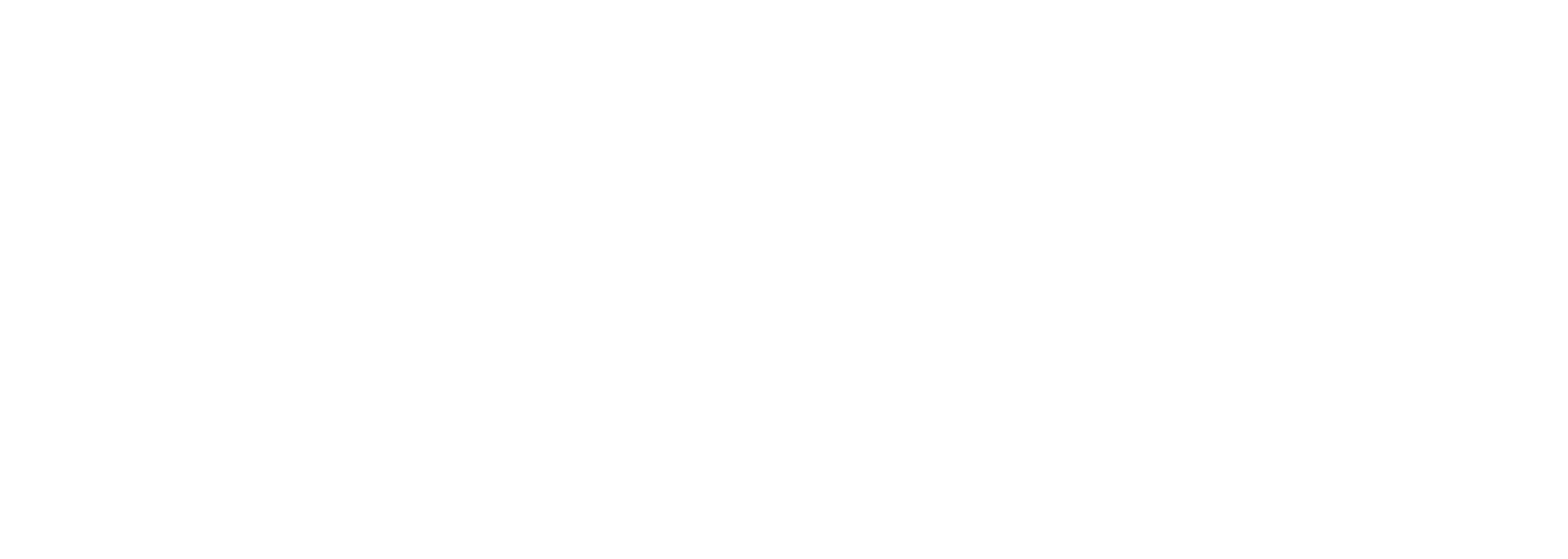 Take Action Consulting