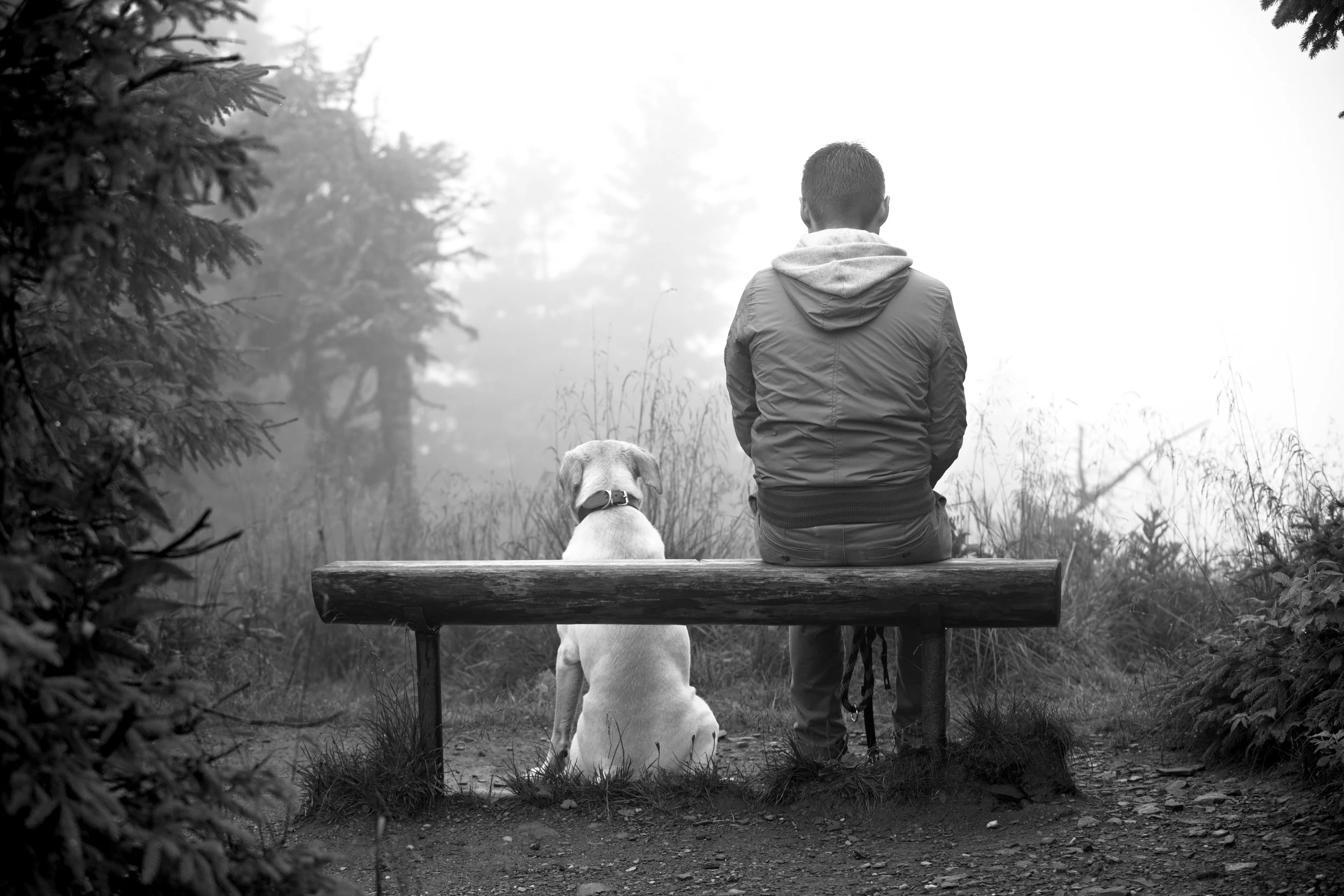 shutterstock_108801692_B&W.jpg
