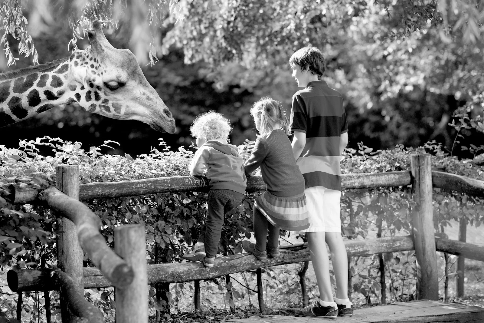 WHAT WE DO page_B&W.jpg