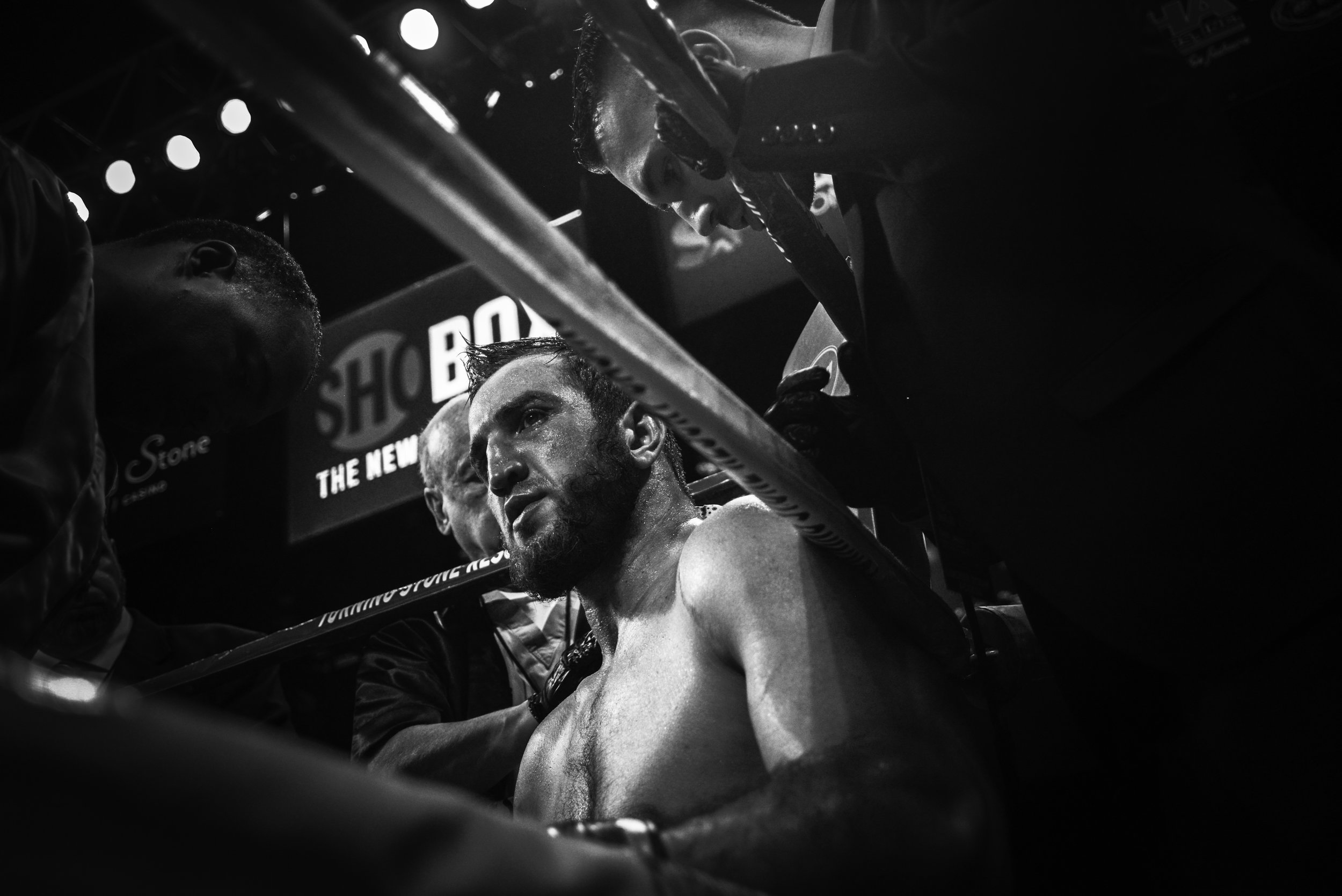 Apti Davtaev Boxer
