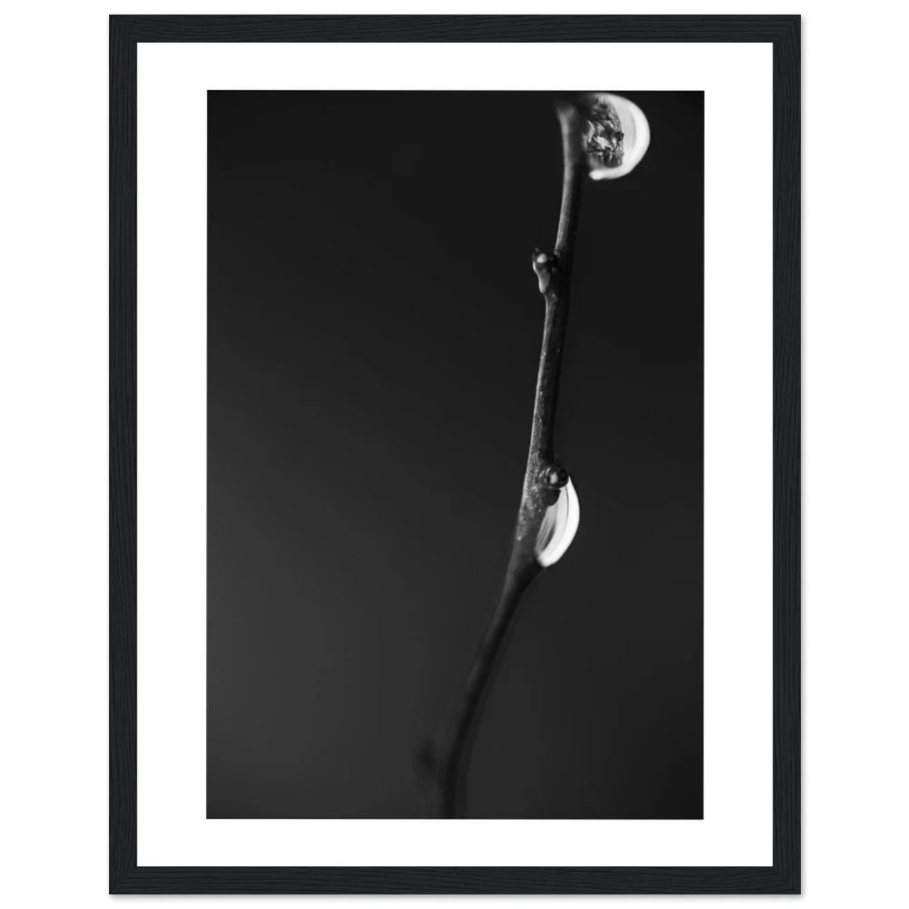 tmp-149-011YkaCce5xG