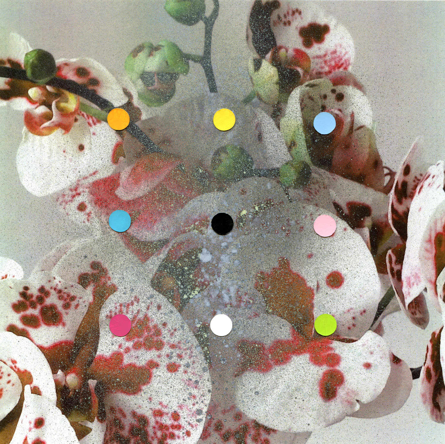 Flowers 7 (Collaboration With Nicklas Hultman)