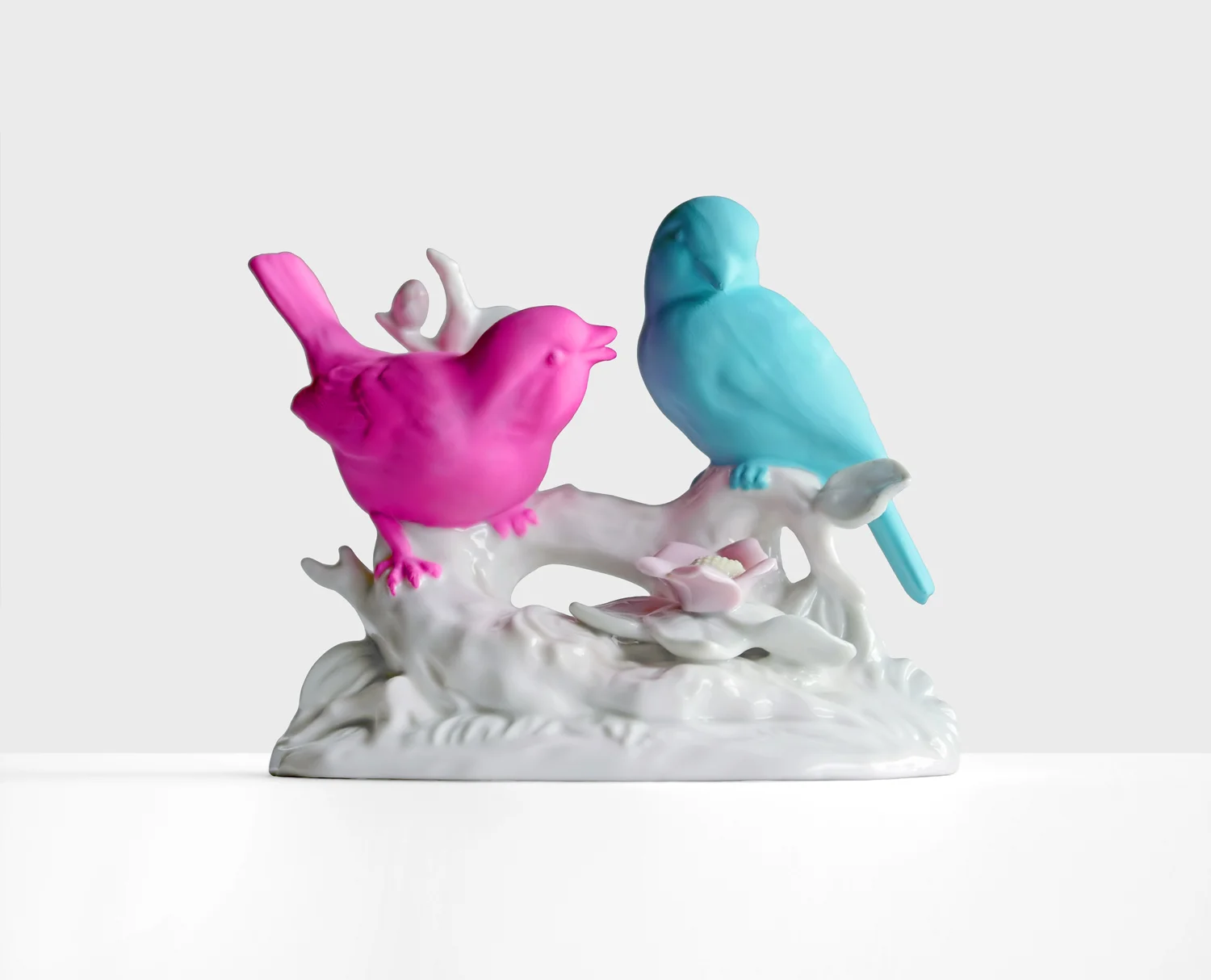 Taiwanese Bird Grouping