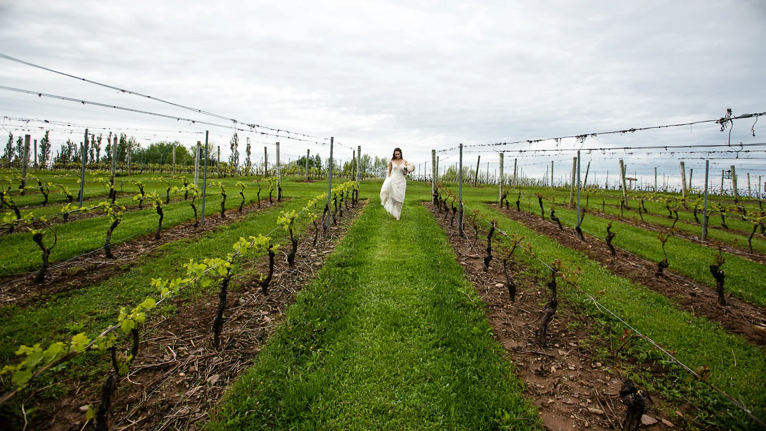 008-HALIFAX-WEDDING-PHOTOGRAPHERS.jpg