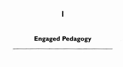 Download a pdf of bell hooks' "Engaged Pedagogy" by clicking here .