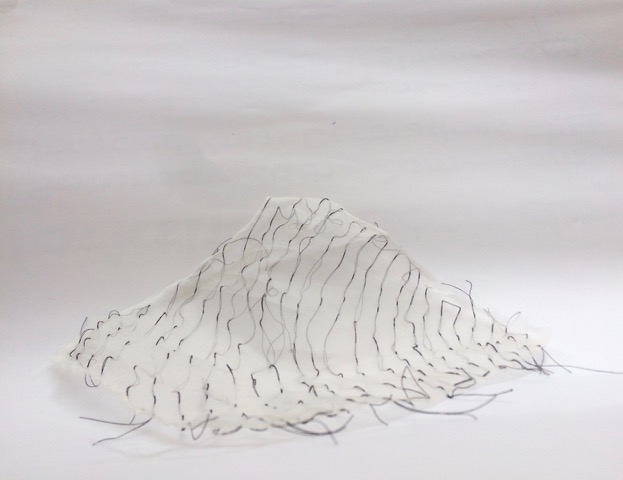 IMG_9818-sml.jpeg