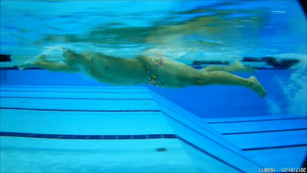 Swim Consulting Ad.gif