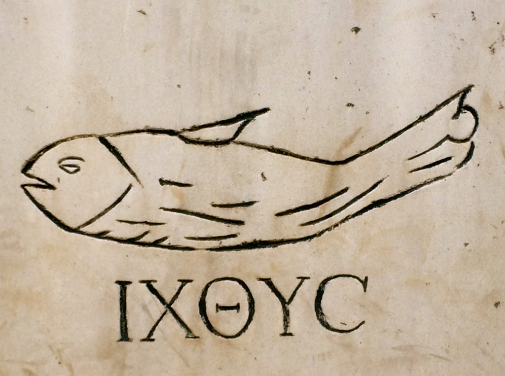 pesce-1024x763.jpg