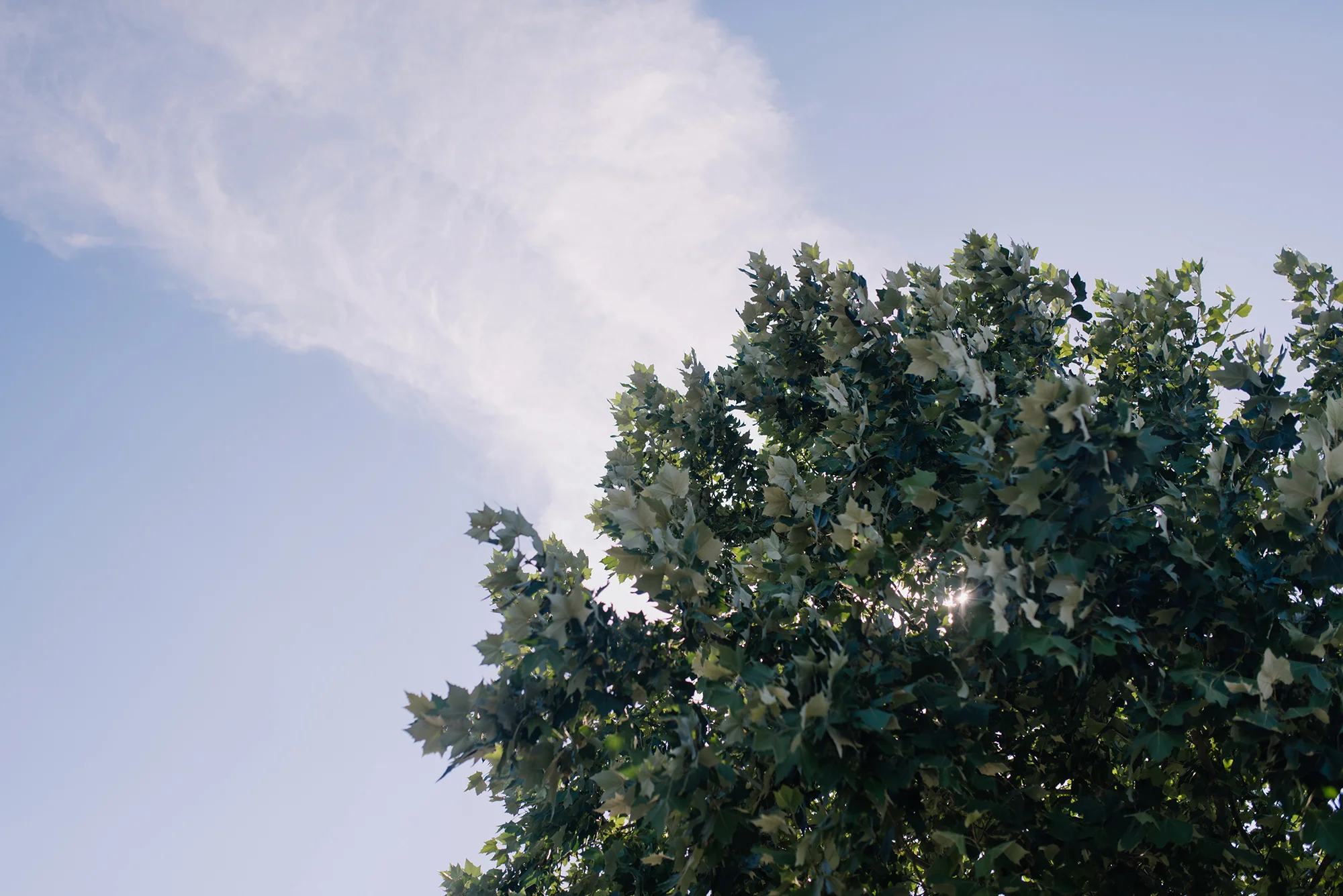 Round Rock Natural Birth Photographer