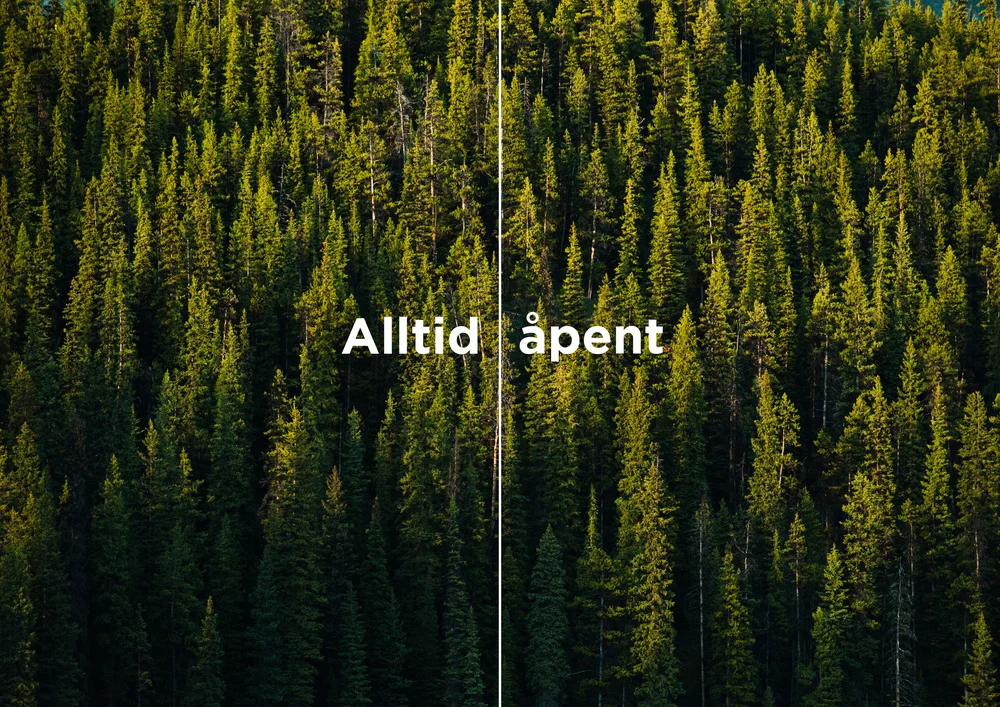 Annonse_statskog-1+copy.jpg