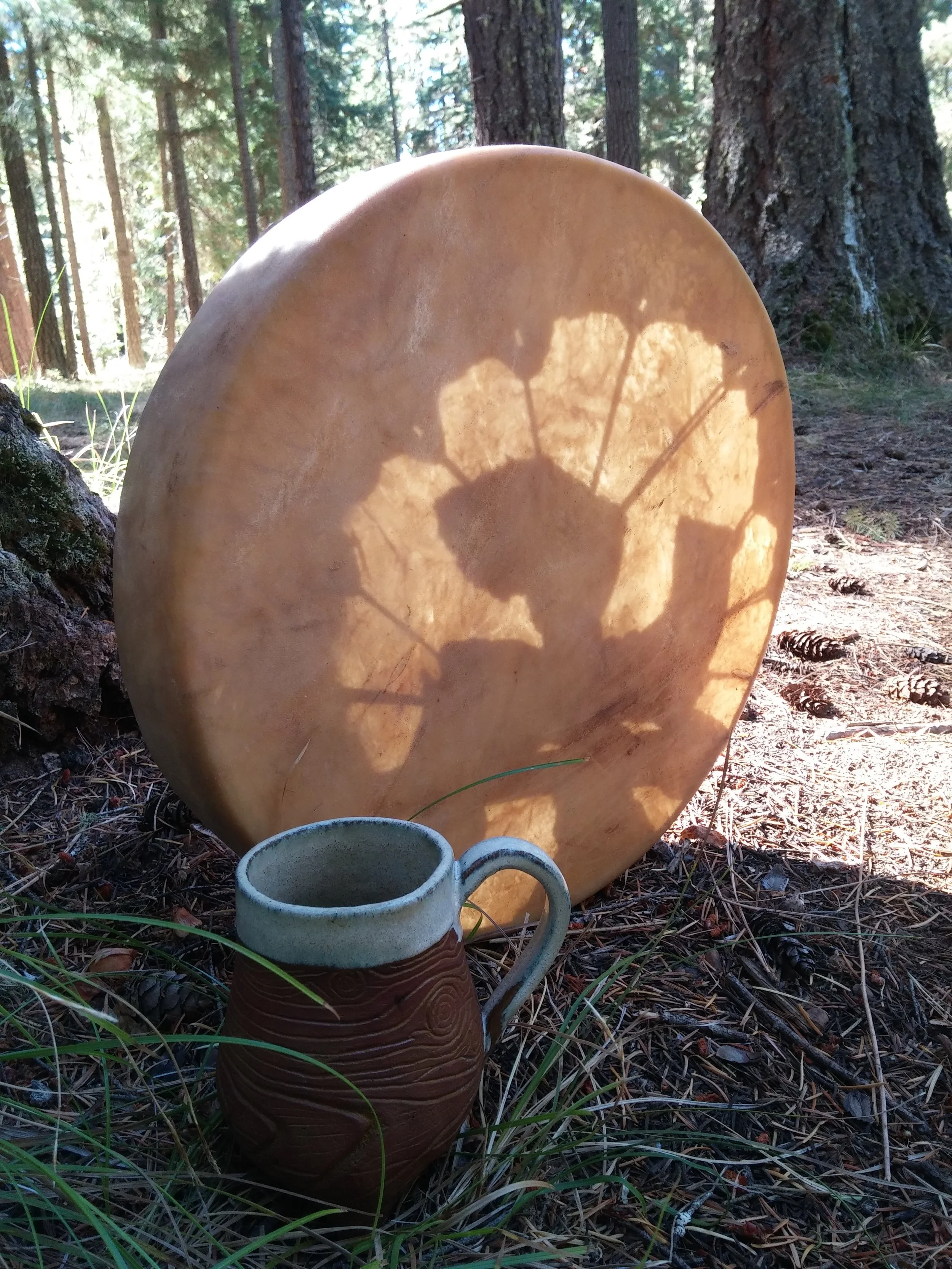 20150920_112320.jpg
