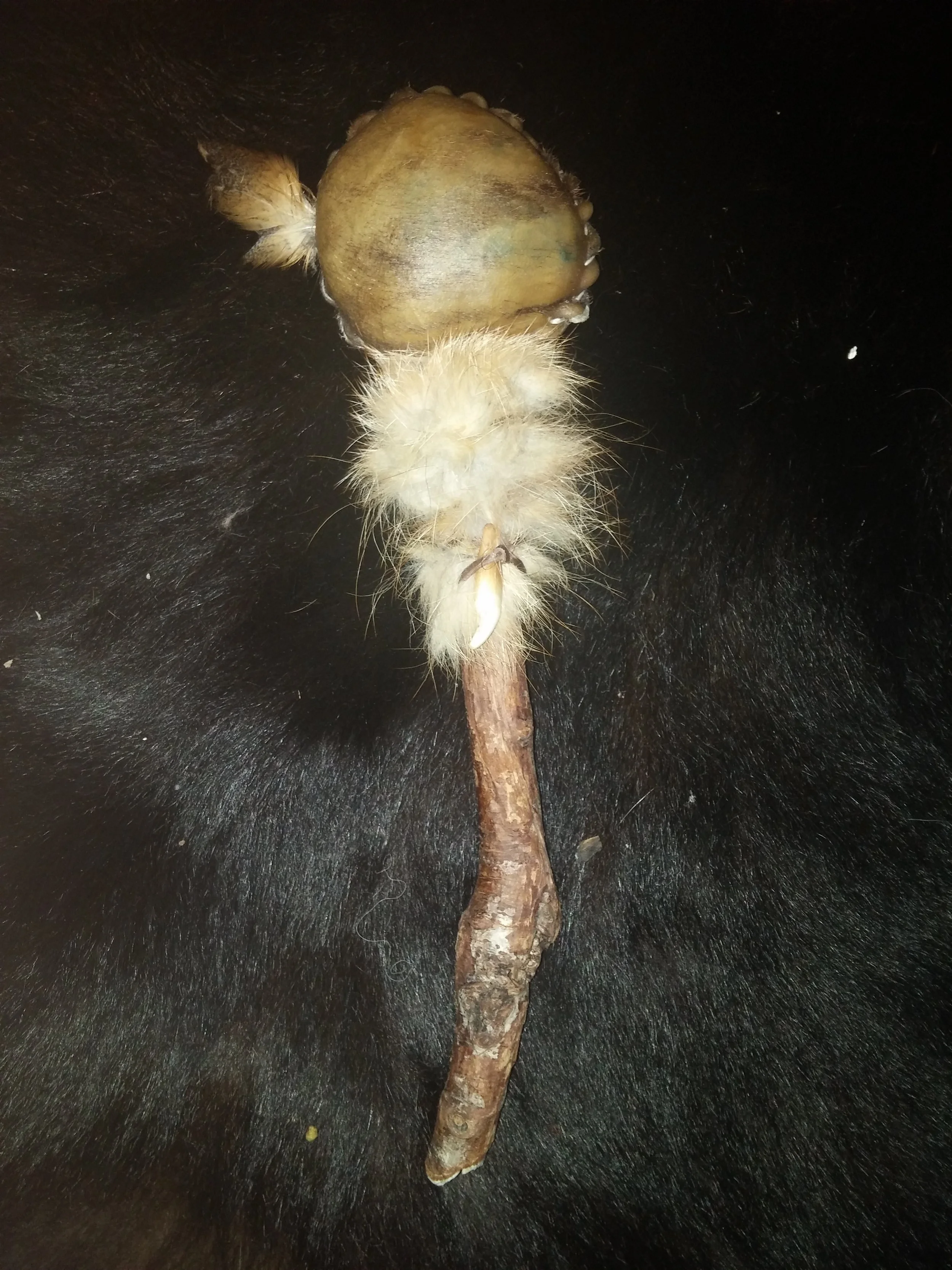 20150731_151245.jpg