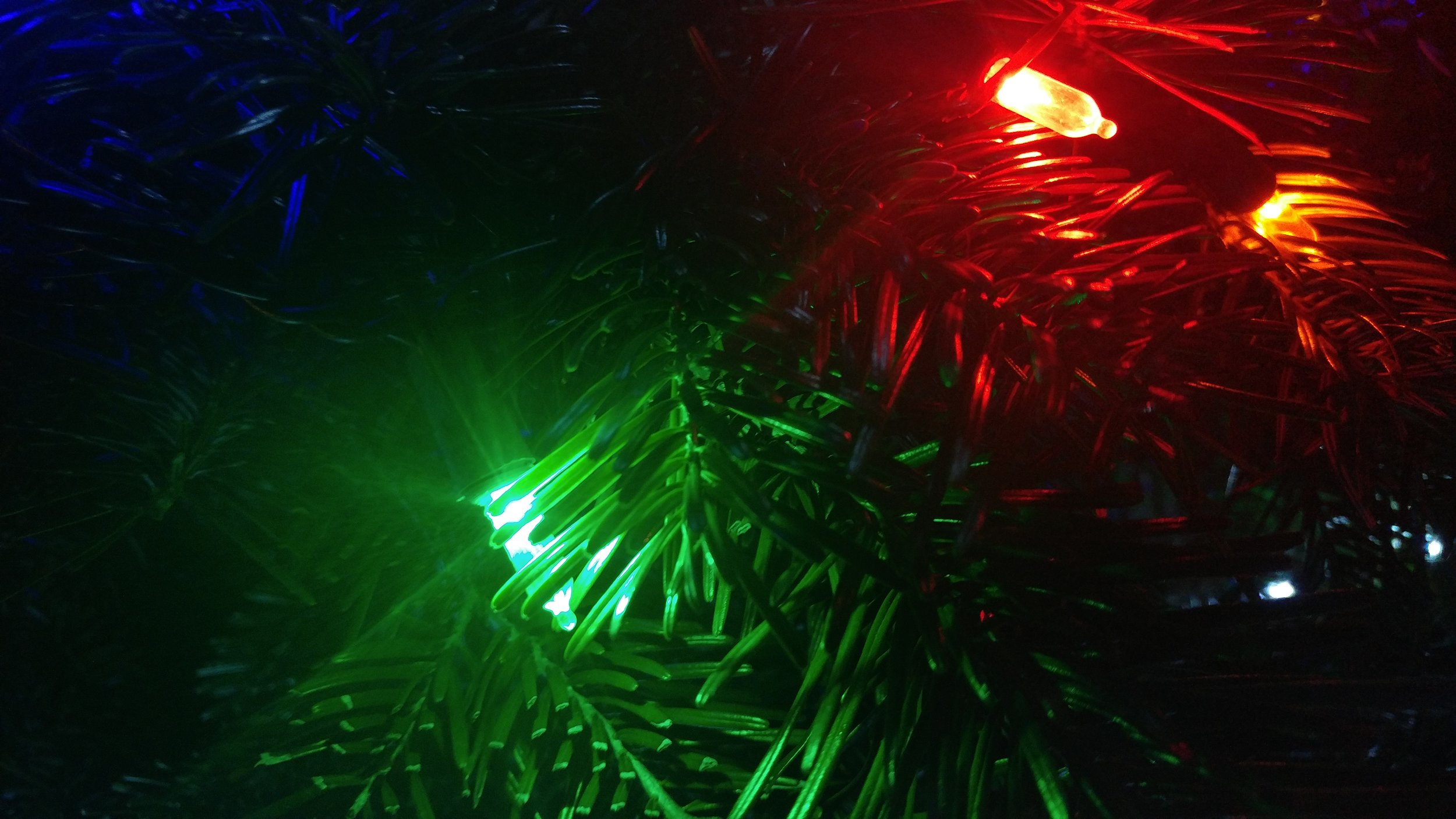 Yule Tree