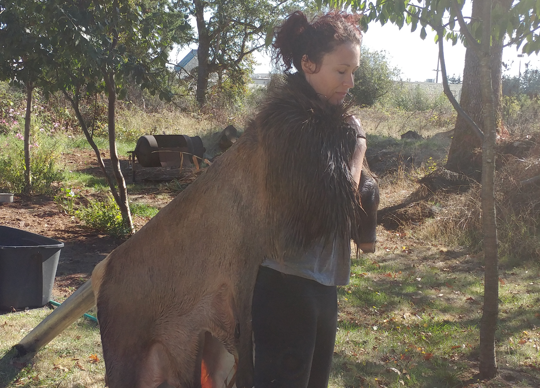 huggedbyelk.png