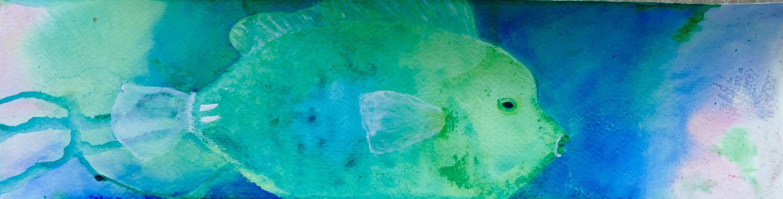 Etude 10x37.jpg