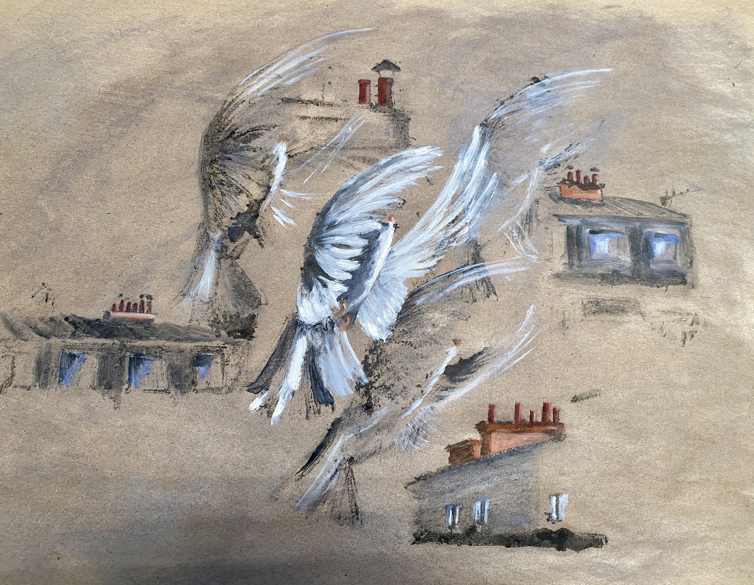 Paris , les pigeons