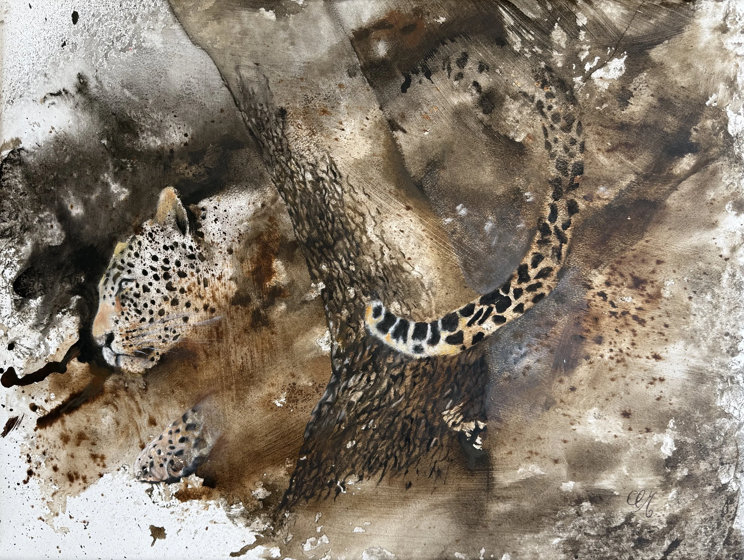 Londolozi 3