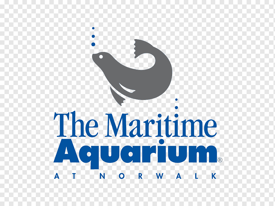png-transparent-mystic-aquarium-institute-for-exploration-maritime-aquarium-at-norwalk-long-island-sound-shark-harbor-seal-blue-animals-text.png