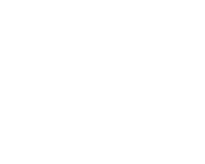 bolt_clean.png