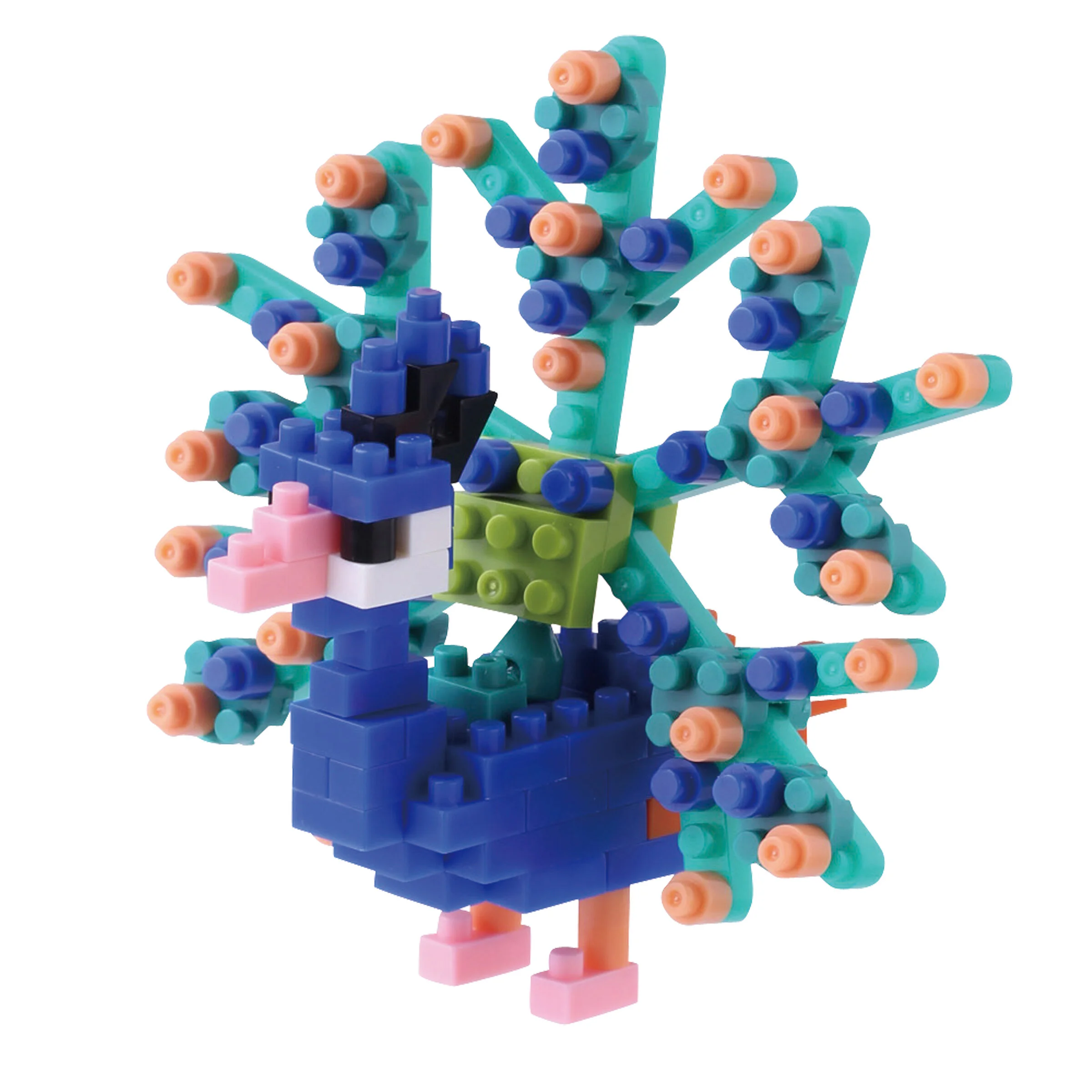 peacock building blocks