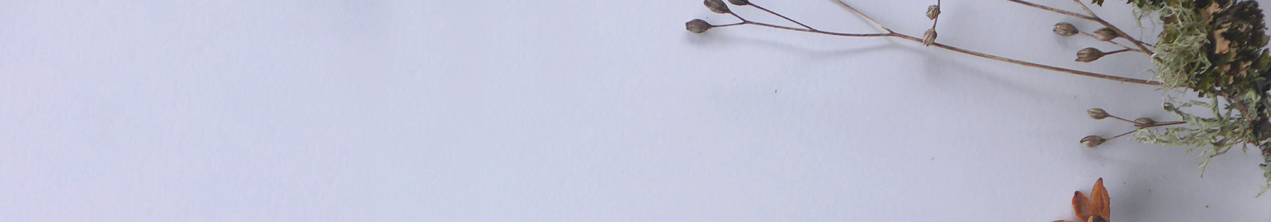 Header.png