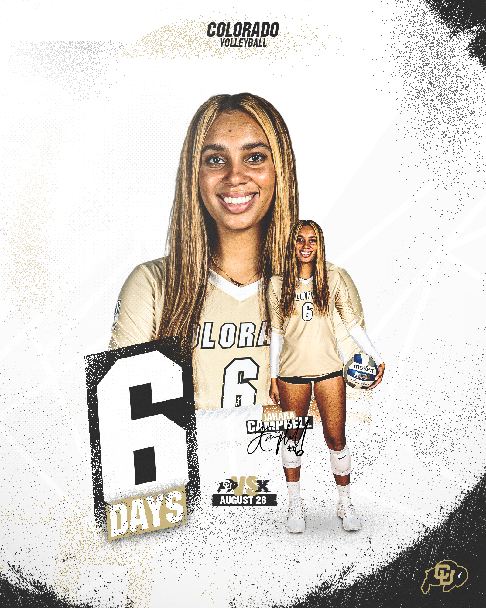 07_27_21 VB Countdown - 6 Days.png