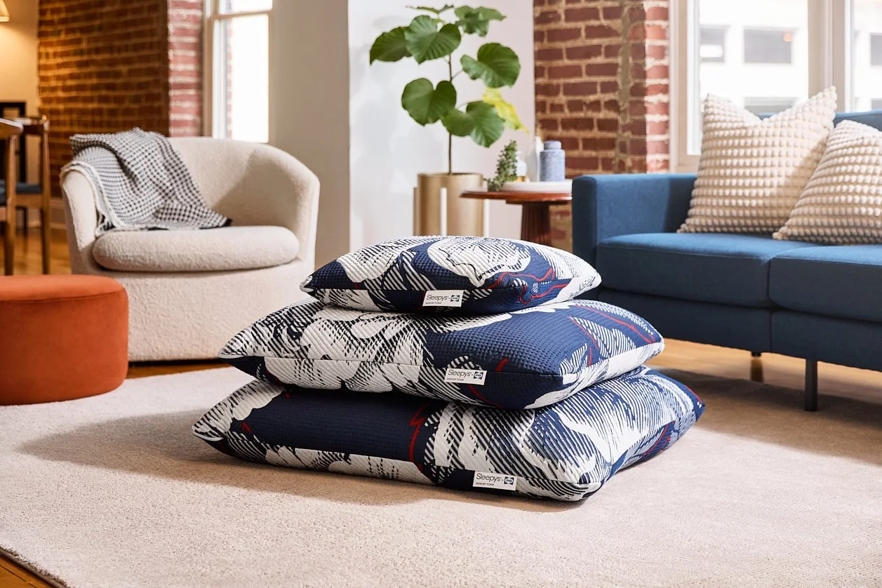 TempurPedic Dog Bed Shoot - 051220255750.jpg