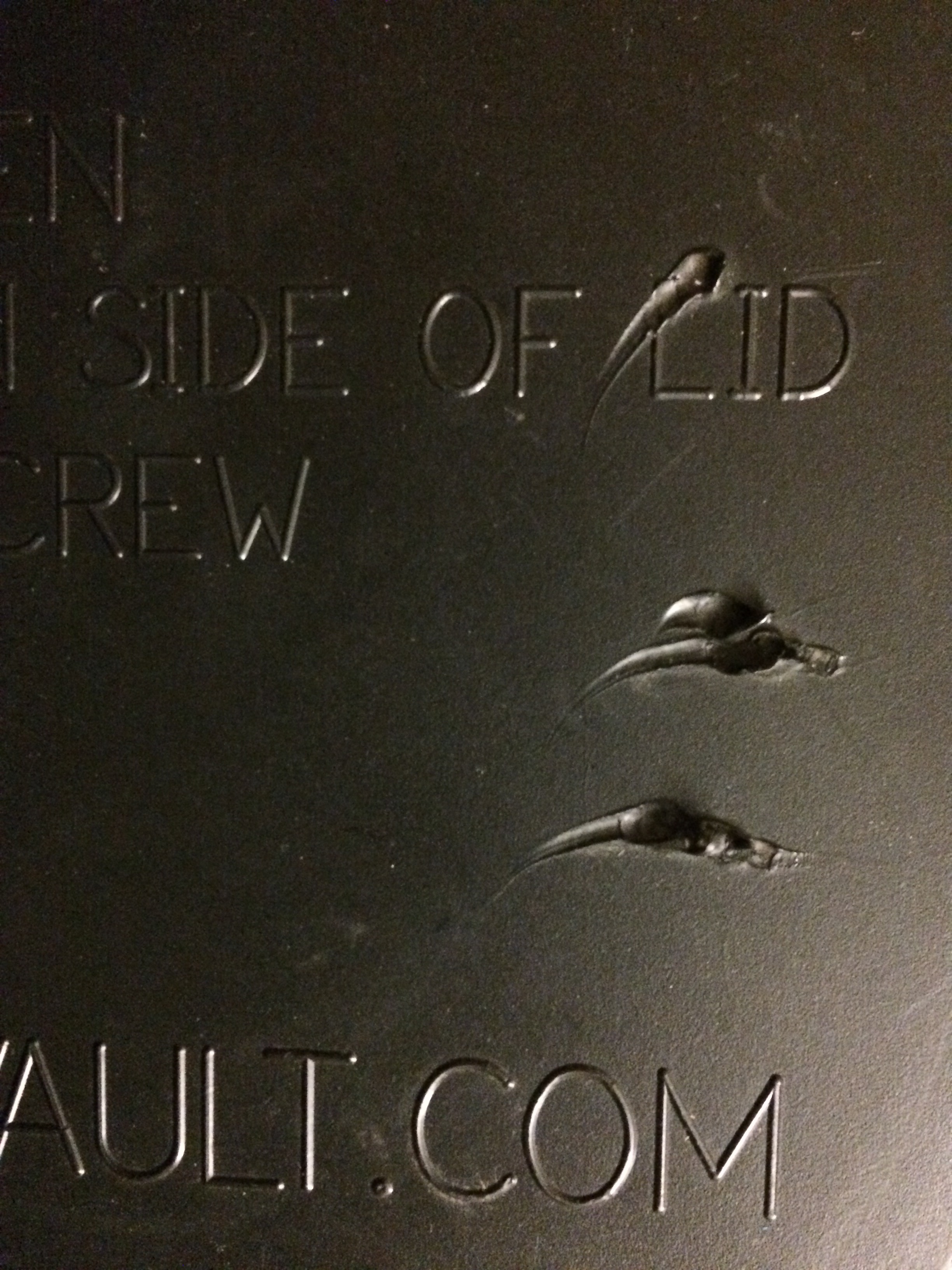 Bear teeth marks on the lid of a bear can. Bear cans are designed to keep bears out of your food. This one is designed like a big Nalgene. Adirondack bears have learned to bite on just the right spot to take the lid off.